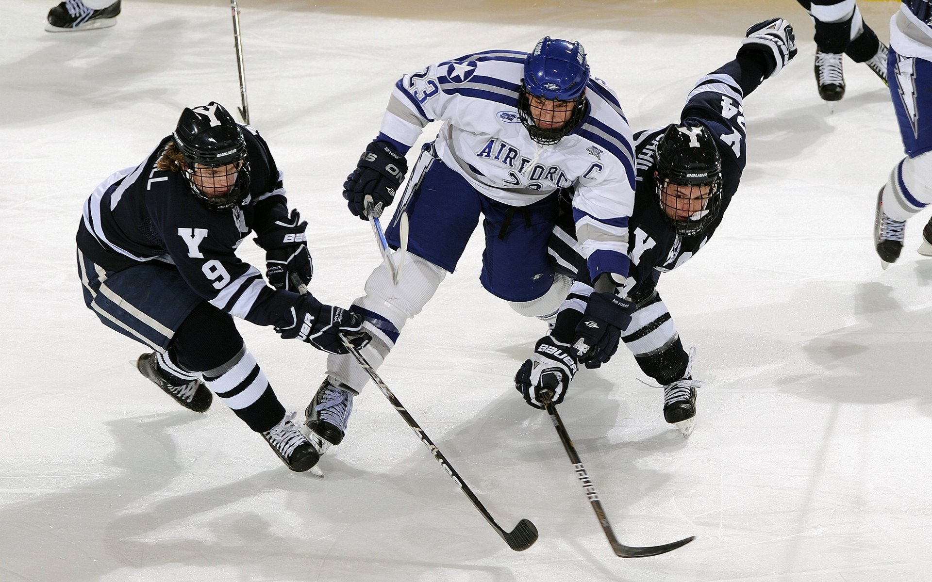 KAIYUNAPP-布拉德福德传控流畅，山谷之心期待突破，布拉德福德公园