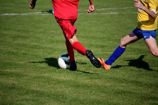 开云体育视频直播-中小学篮球教研活动不断创新教学方法提升训练效果，篮球教研活动总结