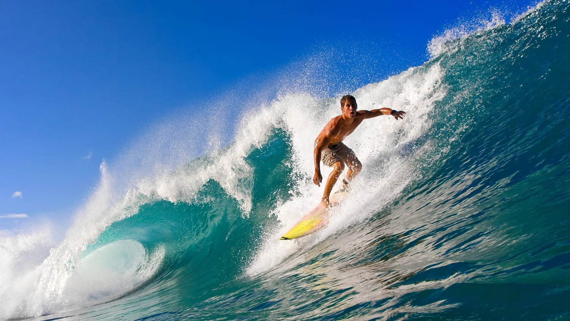 kaiyun官方入口登录-乔·莫伊：无懈可击的防守者，他让对手在scrum中无法找到突破口，乔莫是什么意思