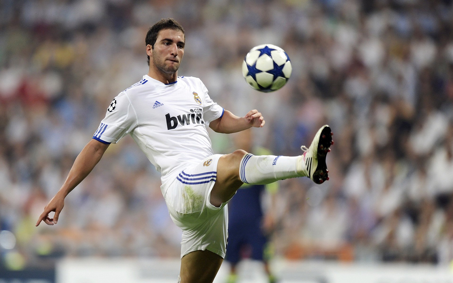 女子足球世界杯备战紧张，女子足球世界杯预选赛