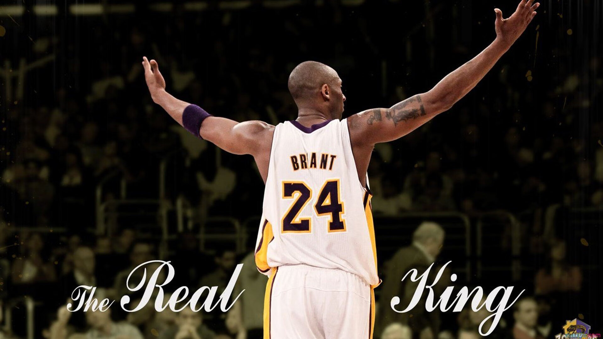 开云APP-未来足球：智慧场馆实现全场自动能耗调节，绿色节能新标杆，智能化足球场